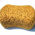 100 pics Materials answers Sponge