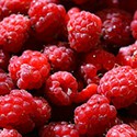 100 pics R Is For answers Raspberries 