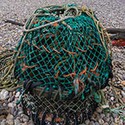 100 pics The Seaside answers Lobster Pot 