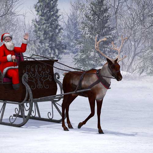 100 pics Christmas answers Reindeer