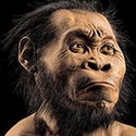 100 pics 2015 Quiz answers Homo Naledi 