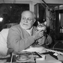 100 pics Cat Lovers answers Henri Matisse