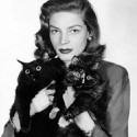 100 pics Cat Lovers answers Lauren Bacall
