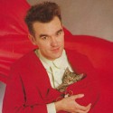100 pics Cat Lovers answers Morrissey
