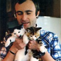 100 pics Cat Lovers answers Phil Collins