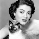 100 pics Cat Lovers answers Jane Russell