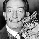 100 pics Cat Lovers answers Salvador Dali