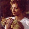 100 pics Cat Lovers answers Sophia Loren