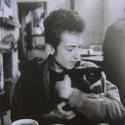 100 pics Cat Lovers answers Bob Dylan