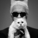 100 pics Cat Lovers answers Karl Lagerfield
