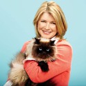 100 pics Cat Lovers answers Martha Stewart