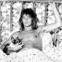 100 pics Cat Lovers answers Rod Stewart