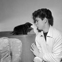 100 pics Cat Lovers answers Cliff Richard