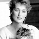 100 pics Cat Lovers answers Meryl Streep