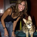 100 pics Cat Lovers answers Jessica Alba