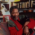100 pics Cat Lovers answers Morgan Freeman