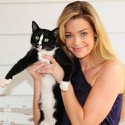 100 pics Cat Lovers answers Denise Richards
