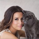 100 pics Cat Lovers answers Eva Longoria