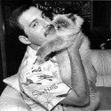 100 pics Cat Lovers answers Freddie Mercury