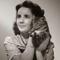 100 pics Cat Lovers answers Liz Taylor