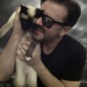 100 pics Cat Lovers answers Ricky Gervais