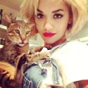 100 pics Cat Lovers answers Rita Ora