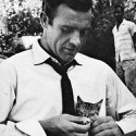 100 pics Cat Lovers answers Sean Connery
