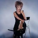 100 pics Cat Lovers answers Tina Turner