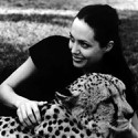 100 pics Cat Lovers answers Angelina Jolie