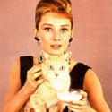 100 pics Cat Lovers answers Audrey Hepburn
