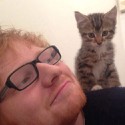 100 pics Cat Lovers answers Ed Sheeran