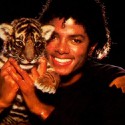 100 pics Cat Lovers answers Michael Jackson