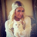 100 pics Cat Lovers answers Paris Hilton