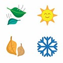 100 pics Emoji Quiz 4 answers Seasons 