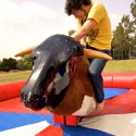 100 pics Party answers Mechanical Bull 