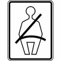100 pics Road Signs answers Wear Seat Belt 