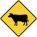 100 pics Road Signs answers Cattle 