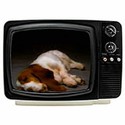 100 pics Tv Commercials answers Hush Puppies