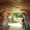 100 pics Underground answers Tunnel (1)