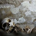 100 pics Underground answers Skeleton