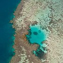 100 pics Australia Day Quiz answers Barrier Reef