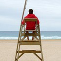 100 pics Australia Day Quiz answers Lifeguard