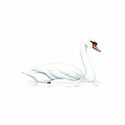 100 pics Birds answers Swan