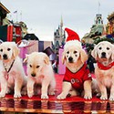 100 pics Christmas Films answers Santa Buddies
