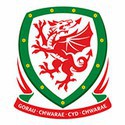100 pics Football Logos answers Wales
