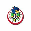 100 pics Football Logos answers Dominica