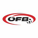 100 pics Football Logos answers Austria