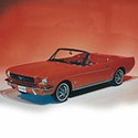 100 pics Ford Cars answers 1964