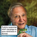 100 pics Icons Of Change answers Attenborough