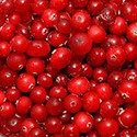 100 pics Random Pics answers Cranberries